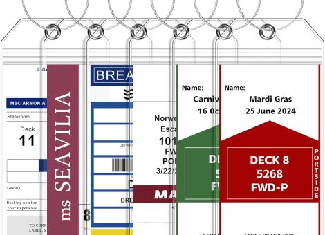 Luggage Tags for Cruise Ship Essentials for NCL, Princess, Carnival, Royal Caribbean and Celebrity Cruise Necessities by SEAVILIA